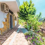 Mirage Arillas Type C16 *